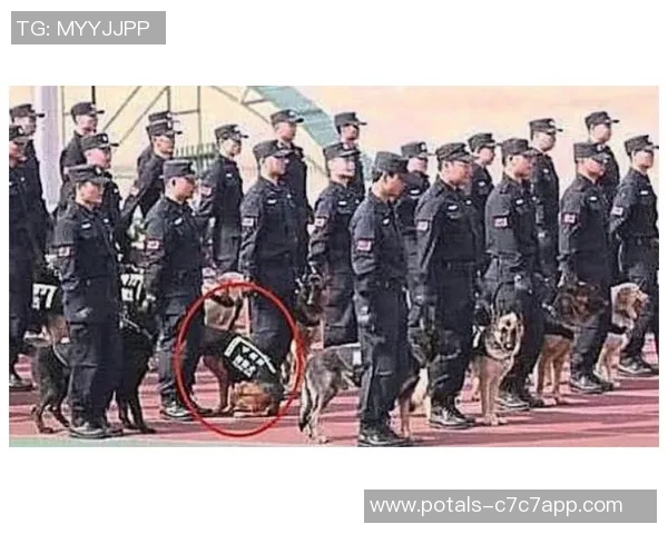 乌拉尔与托斯诺激战正酣谁能在这场对决中笑到最后 乌拉尔与托斯诺激战正酣谁能在这场对决中笑到最后